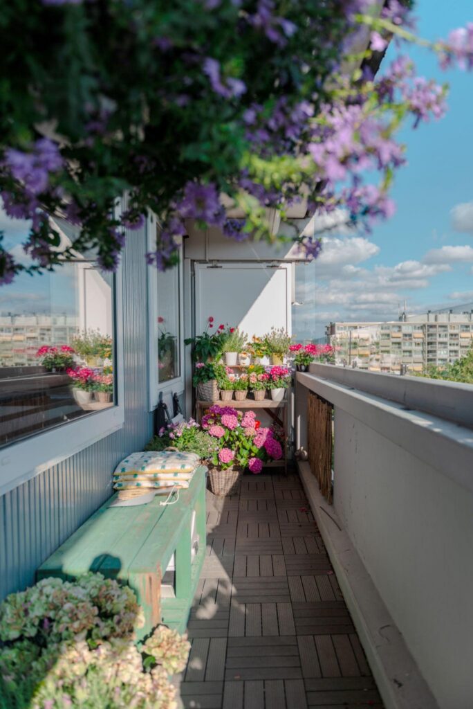 Cây phong thủy đặt ở ban công giúp không gian thoáng mát